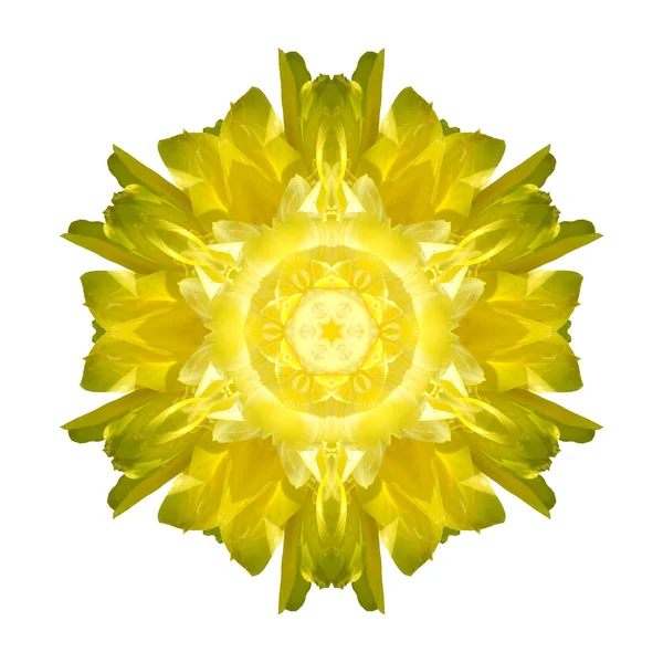 Flower mandala isolated on white background — Stock Photo, Image