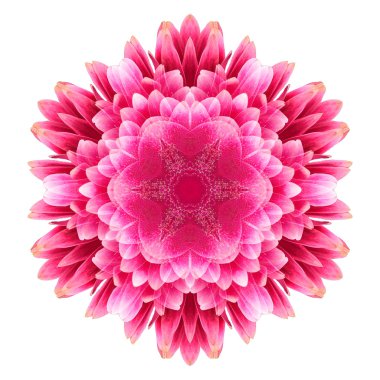 Beyaz arka plan üzerinde izole çiçek mandala