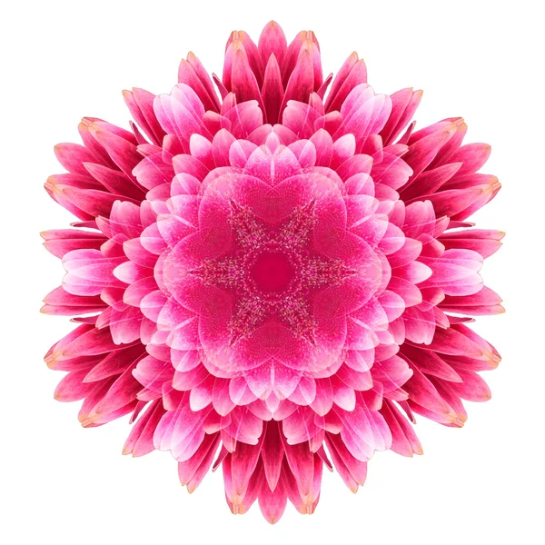 Blume Mandala isoliert auf weißem Hintergrund — Stockfoto