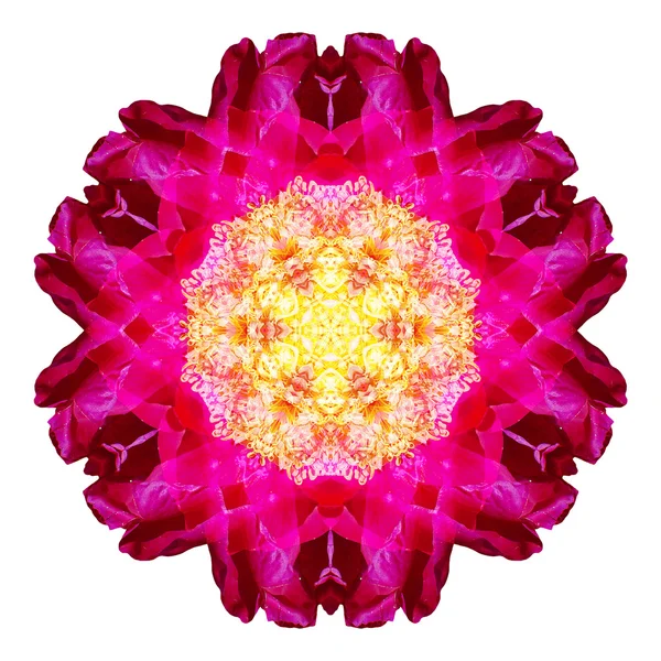 Flower mandala isolated on white background — Stock Photo, Image