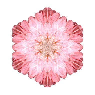 Beyaz arka plan üzerinde izole çiçek mandala