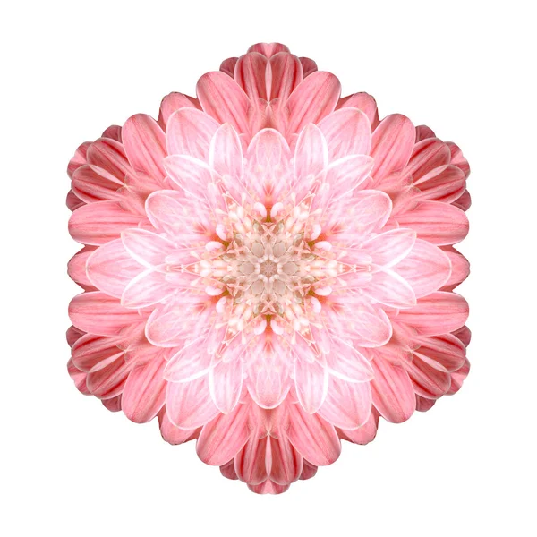 Flower mandala isolated on white background — Stock Photo, Image