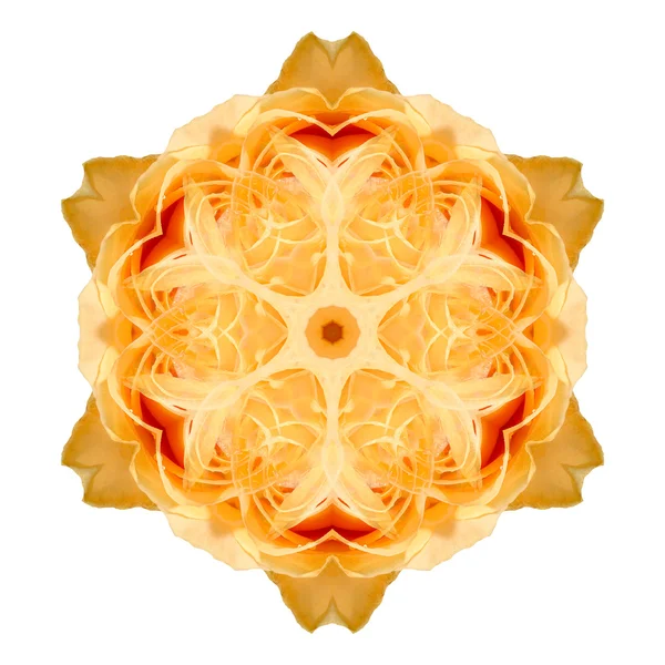 Mandala flor aislada sobre fondo blanco — Foto de Stock