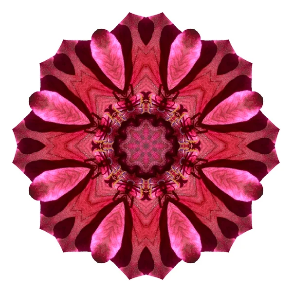 Mandala flor aislada sobre fondo blanco — Foto de Stock