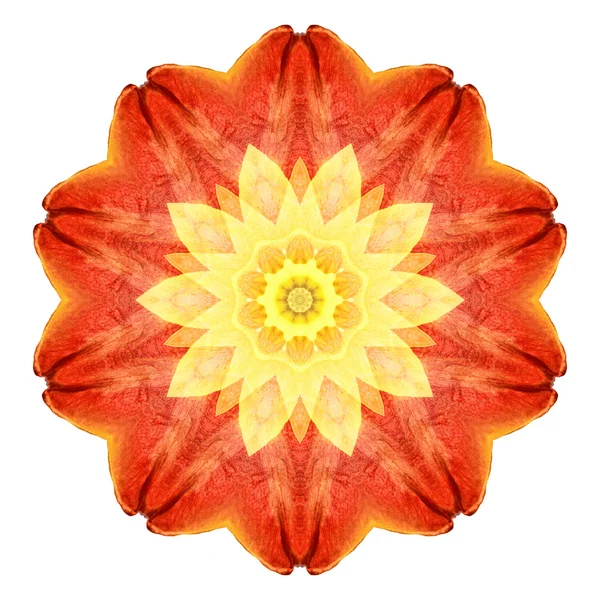 Blume Mandala isoliert auf weißem Hintergrund — Stockfoto