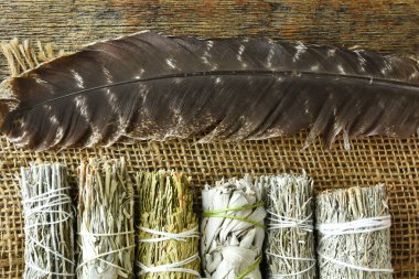 Çuval bezi üzerinde kutsal tüy bulunan çeşitli iyileştirici leke demetlerinin üst görünümü. 