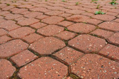 Her tuğlanın arasında büyüyen çimen ve bitkilerin olduğu eski kırmızı verandanın soyut bir görüntüsü.. 