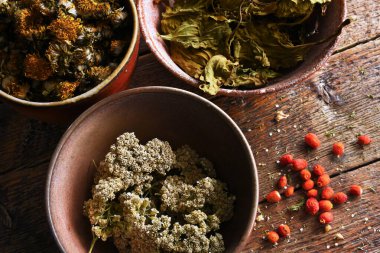 Kırsal bölge kaselerinin üst görüntüsü. Yarrow, muz, gül kalçası ve karahindiba gibi organik bitkisel ilaçlarla dolu..