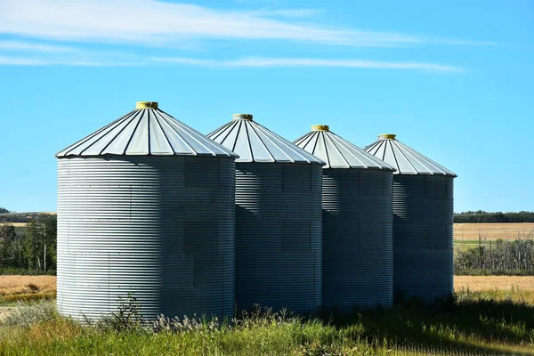 Image Metal Grain Silos Agricultural Field Harvest Season — Stock Photo, Image