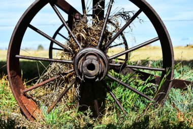 Antika tarım ekipmanlarında paslanmış metal bir traktör lastiğinin görüntüsü.. 
