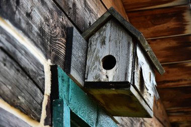 Tahtadan kuş yuvası yapılmış eski bir el resmi.. 