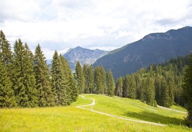 Güzel manzaraya yaz dağlarda in Tirol, Avusturya