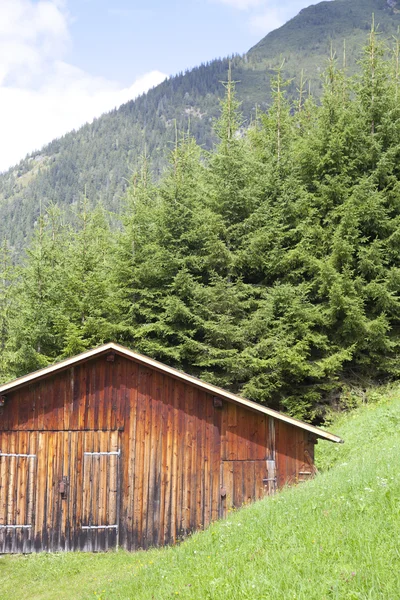 Yeşil dağ in Tirol, Avusturya ile ahşap kabin — Stok fotoğraf