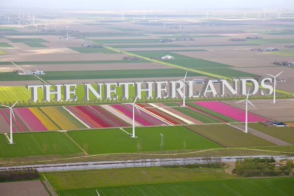 Campo de flores de colores holandeses desde arriba con Holanda 3d texto —  Fotos de Stock