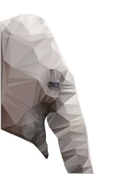 Polygonale Darstellung des Elefantenkopfes isoliert auf weißem Hintergrund — Stockvektor