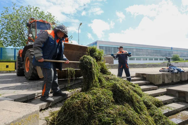 Minsk Belarus Oktober 2020 Slåtter Alger Floden Staden — Stockfoto