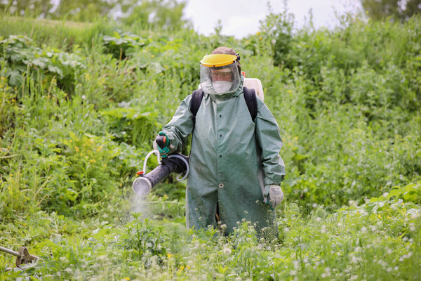 MINSK, BELARUS - 1 OCTOBER, 2020: mowing and herbicide treatment of sosnovsky hogweed