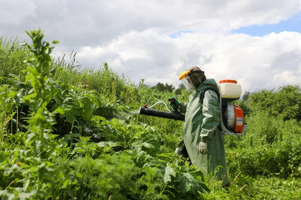 Minsk Belarus 1Er Octobre 2020 Fauchage Traitement Herbicide Potamot Sosnovsky Images De Stock Libres De Droits