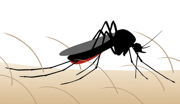 Mosquito bite — Stock Vector
