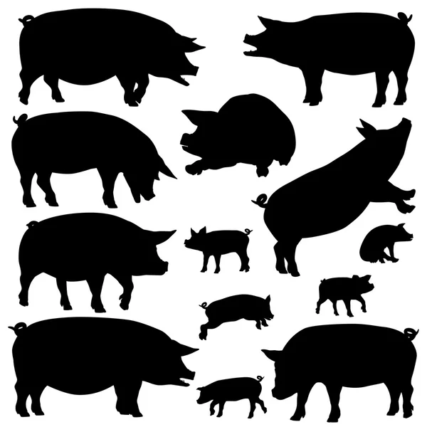 Siluetas de cerdo — Vector de stock