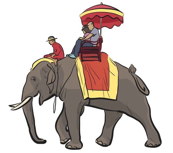 Olifant rijden — Stockvector