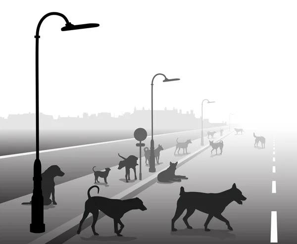 Toulavý pes ulice — Stockový vektor