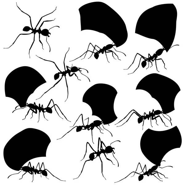 Leaf cutter ants — Stock Vector