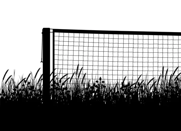 Saison de tennis Grasscourt — Image vectorielle