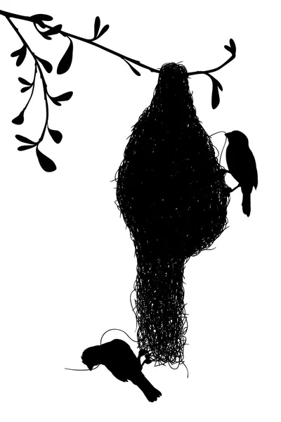 Silhouette Weaverbirds — Vettoriale Stock