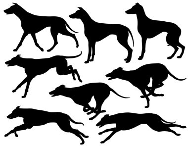 Greyhound dog silhouettes clipart