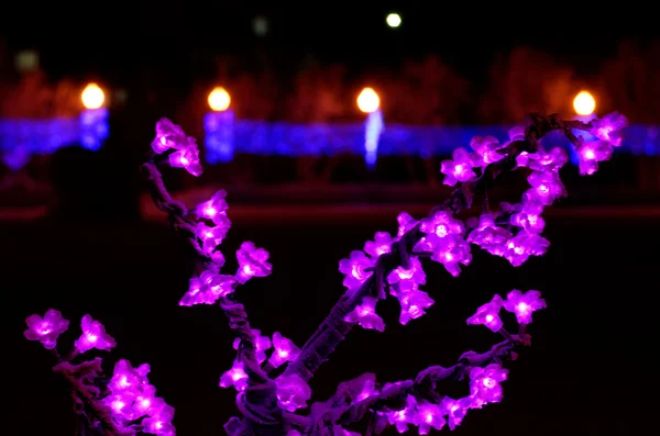 Luces de Navidad . — Foto de Stock