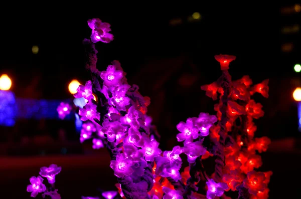 Luces de Navidad . — Foto de Stock