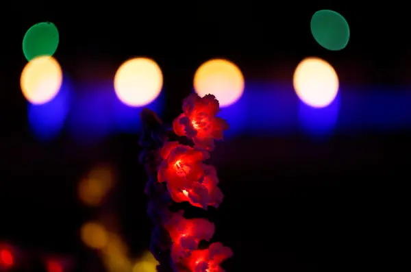 Luzes de Natal . — Fotografia de Stock