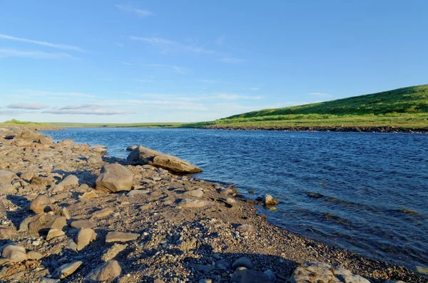 Toendra-landschap — Stockfoto