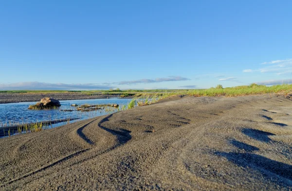 Toendra-landschap — Stockfoto