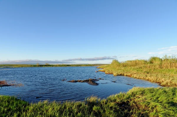 Tundra краєвид — стокове фото