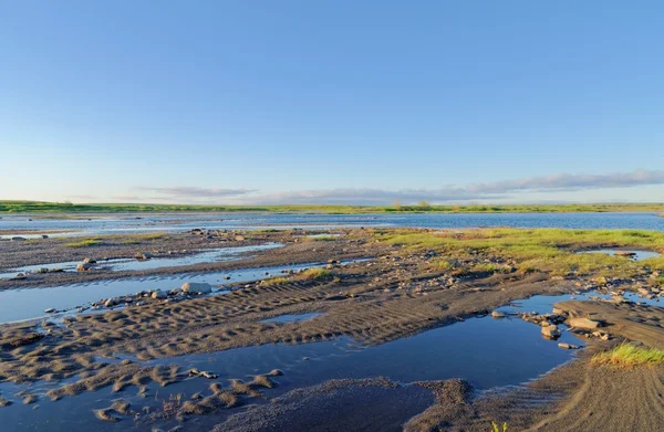 Toendra-landschap — Stockfoto