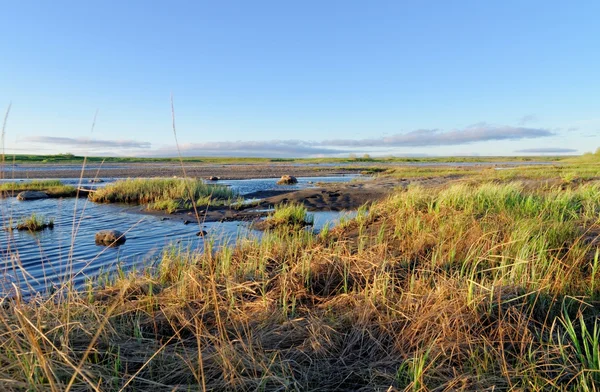 Tundra peyzaj — Stok fotoğraf