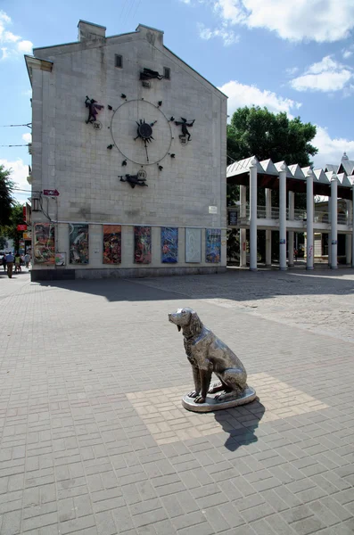 Biały Bim, czarne ucho Zdjęcia Stockowe bez tantiem