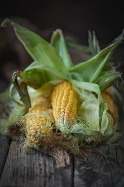 Tahta bir masada yaprakları olan taze sulu mısır. Sonbahar arkaplanı. Seçici odak.