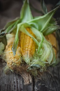 Tahta bir masada yaprakları olan taze sulu mısır. Sonbahar arkaplanı. Seçici odak.