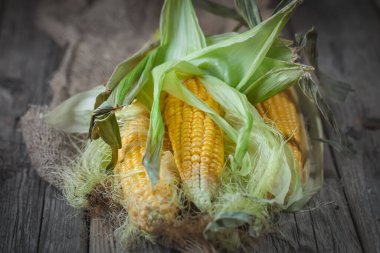 Tahta bir masada yaprakları olan taze sulu mısır. Sonbahar arkaplanı. Seçici odak.