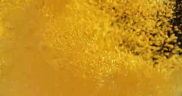 La cerveza fría se vierte en un vaso. Cerveza fría en un vaso con gotas de agua. Frescura y espuma. — Vídeo de stock