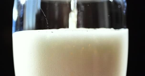 Koud bier wordt in een glas gegoten. Cold Light Bier in een glas met waterdruppels. Vers en schuim. — Stockvideo