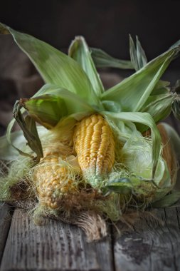 Tahta bir masada yaprakları olan taze sulu mısır. Sonbahar arkaplanı. Seçici odak.
