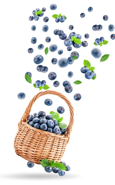 Fresh raw blueberries falling in the air isolated on the yellow background. Food levitation concept. Blueberries in a basket on a white background. — Stock Photo, Image