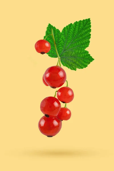 Vliegende verse rode bes met groene bladeren. Concept van voedsel levitatie. Currant, levitatie. — Stockfoto