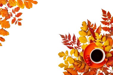 Sonbahar arkaplanı. Sonbahar yapraklarından yapılmış bir çerçeve. Sonbahar bayrağı. Kopya alanı olan bir arkaplan. Yatay olarak. Üst görünüm.