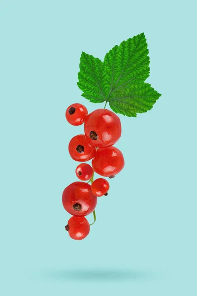 Fliegende frische rote Johannisbeere mit grünen Blättern. Konzept der Levitation von Nahrung. Johannisbeere, Schwebezustand. — Stockfoto