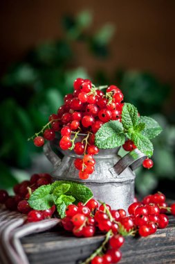 Bir kasede olgun kırmızı frenk üzümü. Koyu kırsal ahşap masada taze kırmızı frenk üzümü. Kopya alanı olan bir arkaplan. Seçici odak.